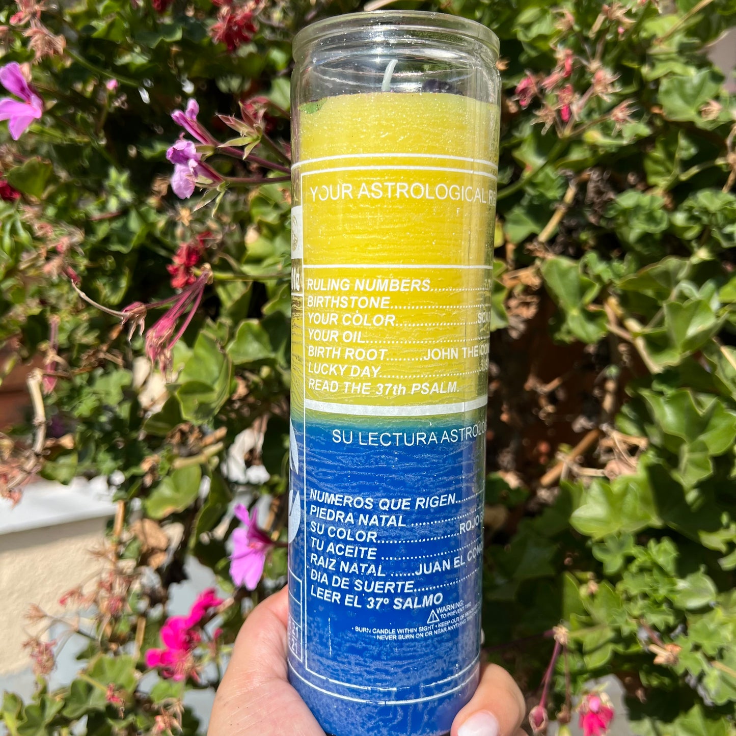Scorpio Zodiac Candle