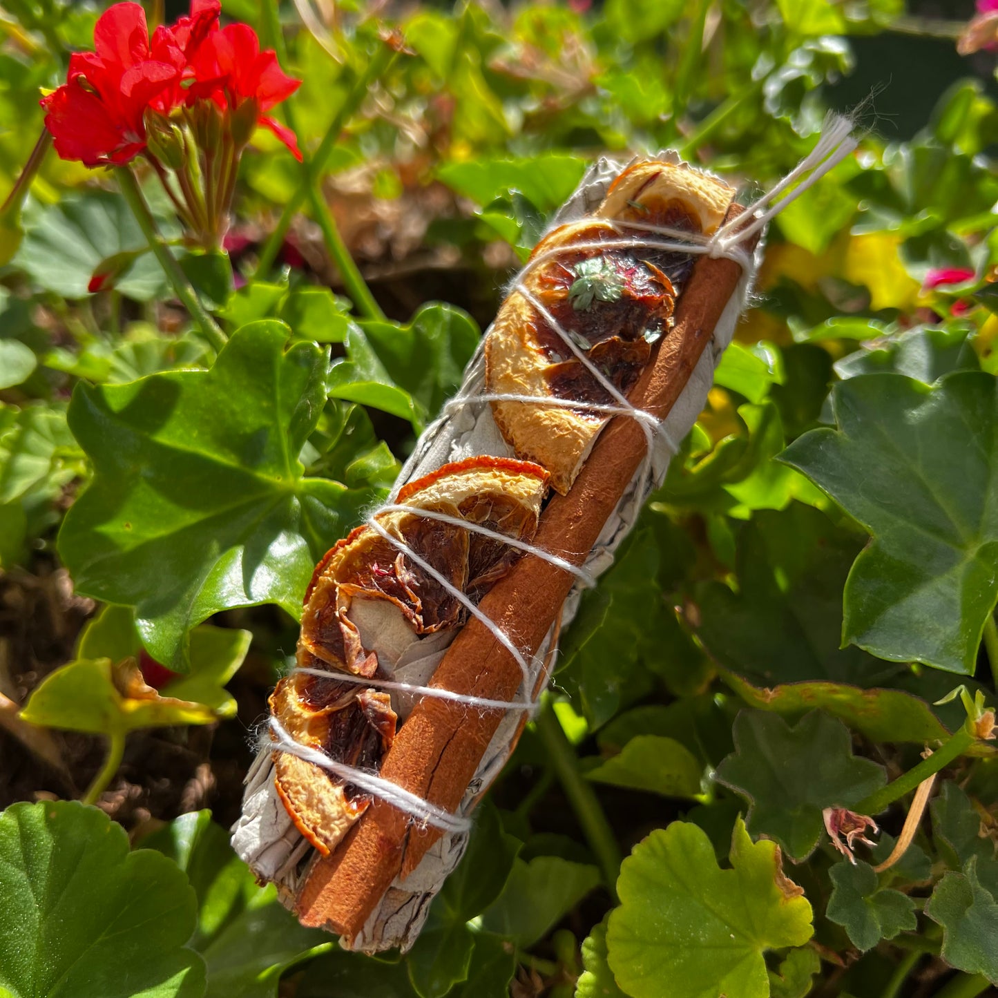 White Sage Cinnamon with Orange