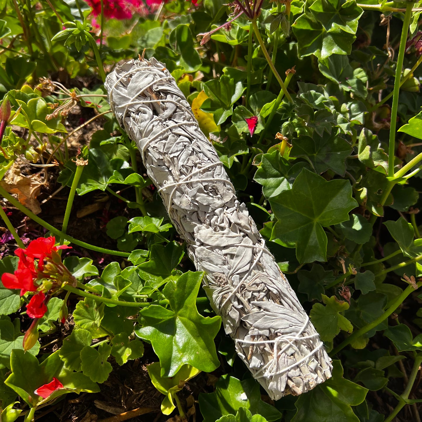 Large White Sage Smudge Stick