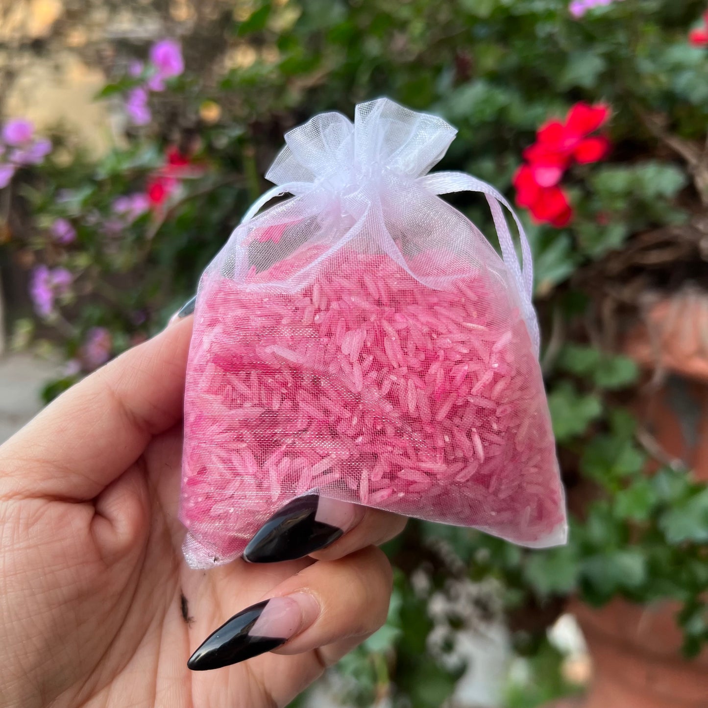 2026 Year Of The Horse House Bundle