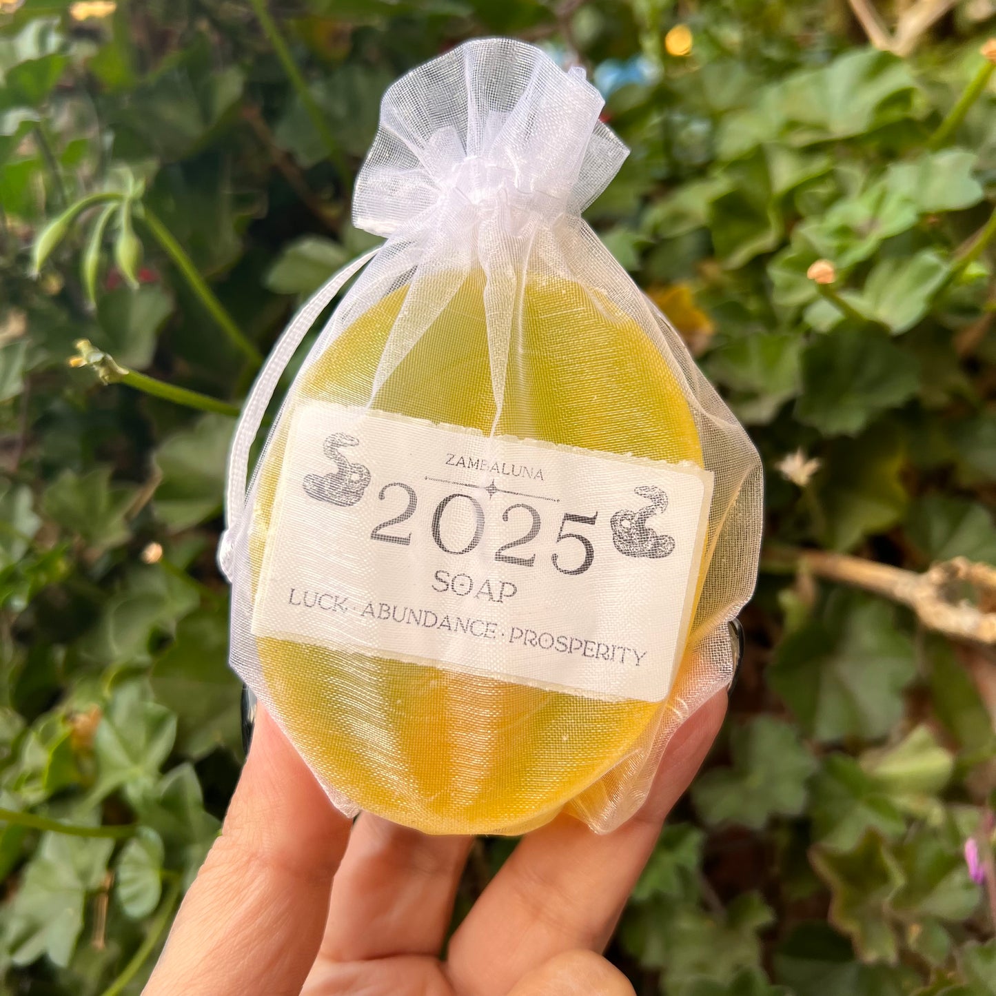 2025 New Year Soap