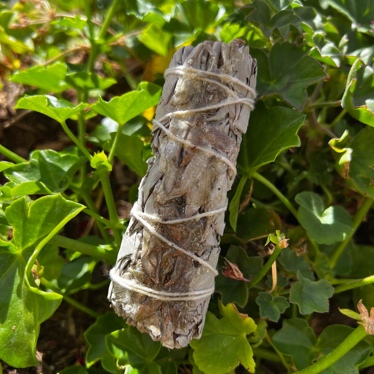 Selenite and Clear Quartz Smudge Stick