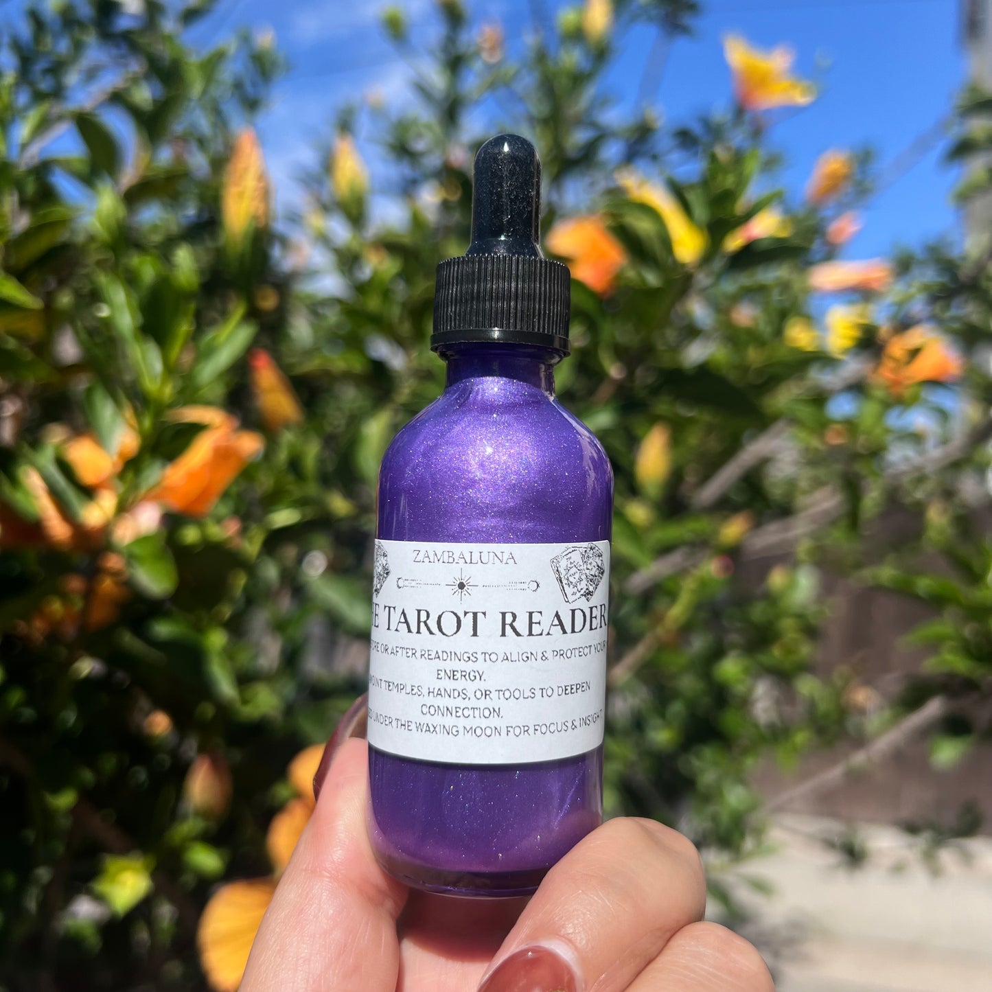 The Tarot Reader Oil