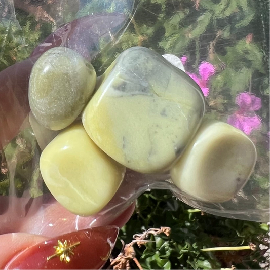 Serpentine - Transformation & Balance Crystal Pack