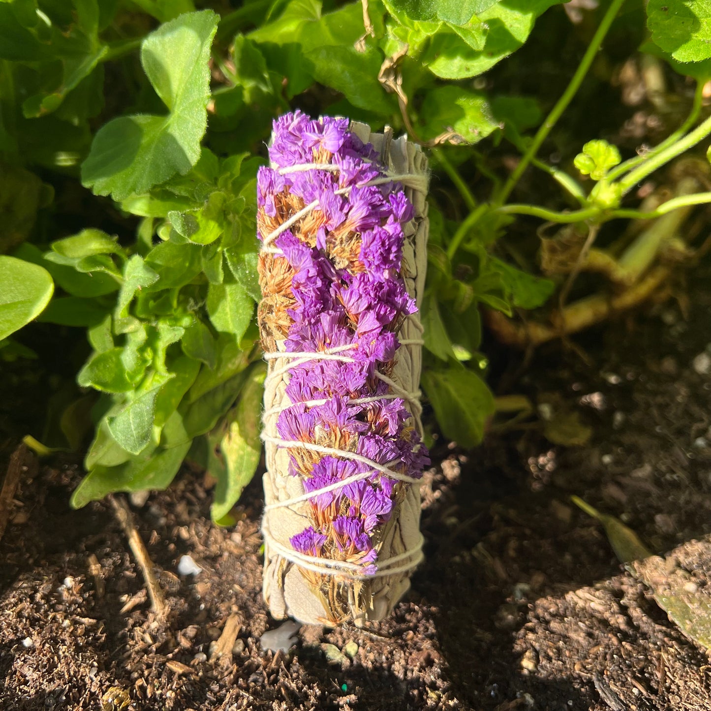 Lavender Sage